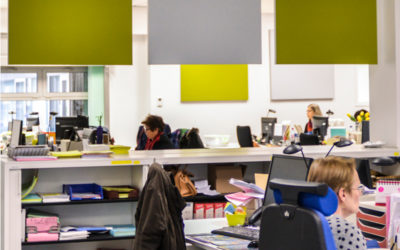 Panneaux, îlots, baffles : quelles solutions en open space ?
